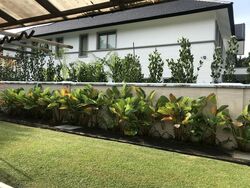 Binjai Park (D21), Detached #504115791